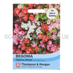 Thompson & Morgan Begonia Options Mixed